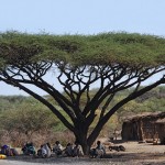 Enseñanza a la sombra de una acacia -Te cuento Etiopía